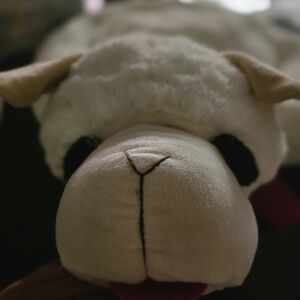 Plush Dog Toy - White and Tan